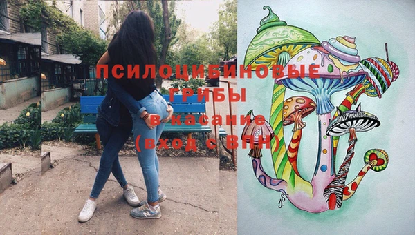 стаф Алзамай