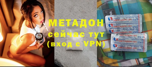 стаф Алзамай