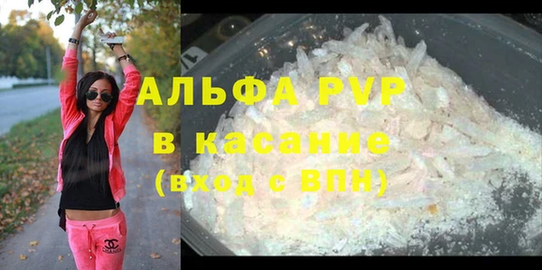 стаф Алзамай