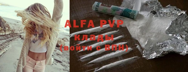 стаф Алзамай