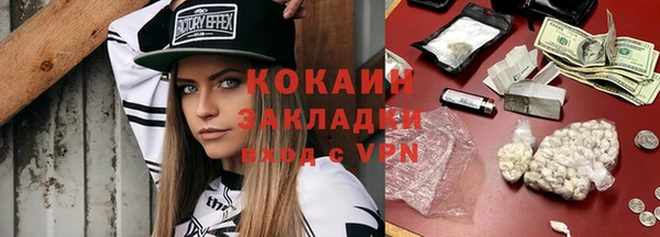 стаф Алзамай