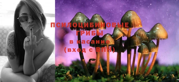 прущий лед Алексеевка