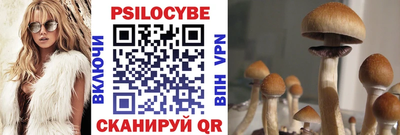 Галлюциногенные грибы Psilocybe  Похвистнево 