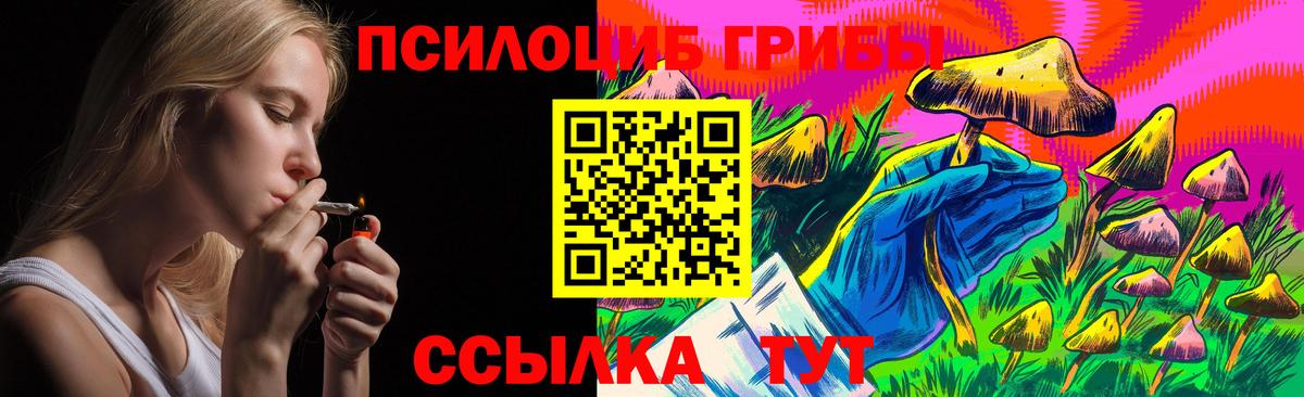 Похвистнево  купить наркотики сайты  Вход с VPN  Псилоцибиновые грибы Magic Shrooms 