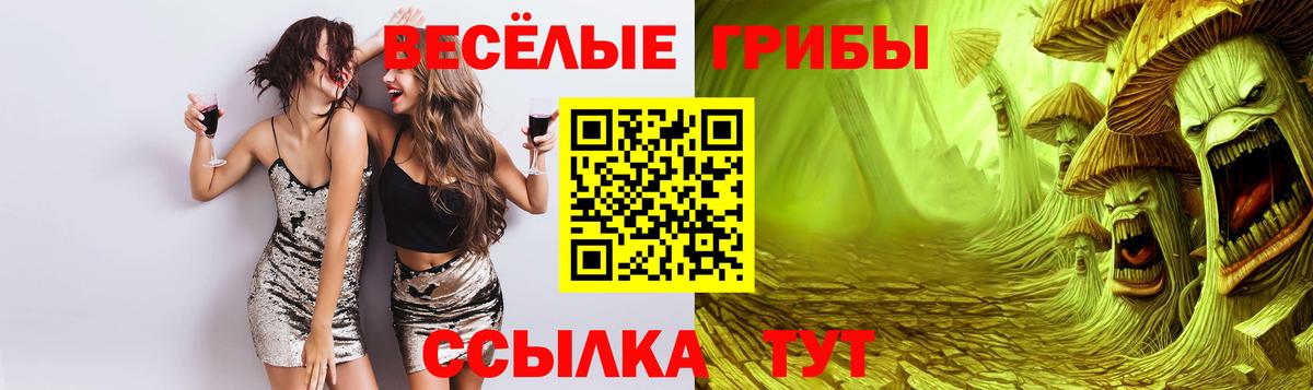 Галлюциногенные грибы MAGIC MUSHROOMS Похвистнево